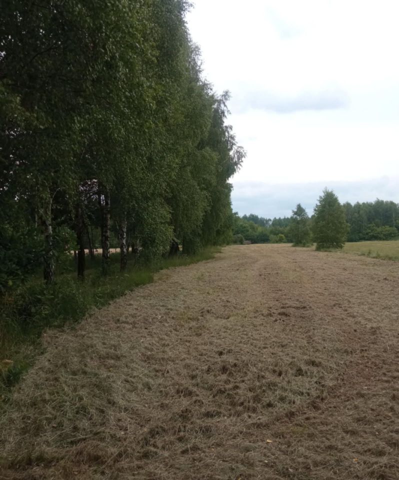 Działka budowlana Borki. Zdjęcie 6