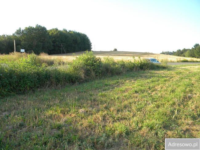 Działka budowlana Wielopole Skrzyńskie. Zdjęcie 5