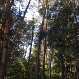 Działka Kostrzyn. Zdjęcie 4