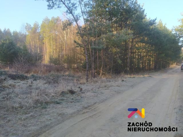 Działka budowlana Radomia. Zdjęcie 4