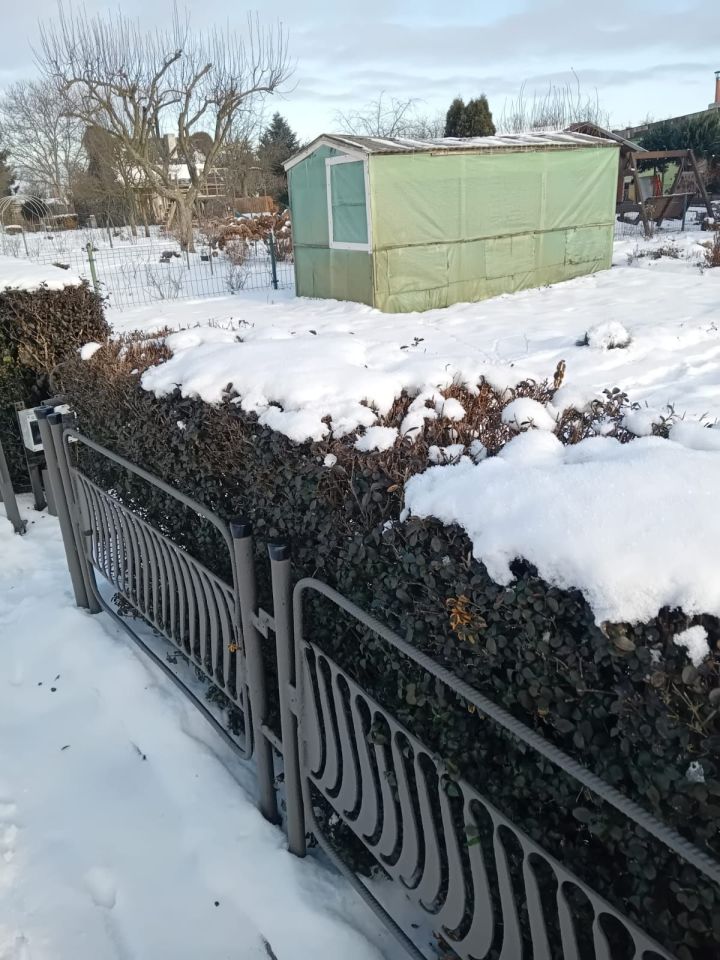 Działka rod Czerwieńsk. Zdjęcie 6