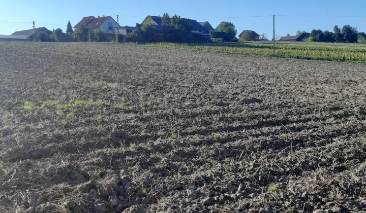 Działka budowlana Klimontów Niwy