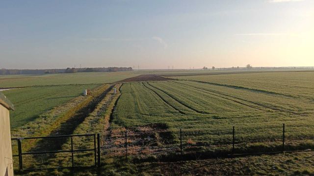 Działka budowlana Radonia. Zdjęcie 1