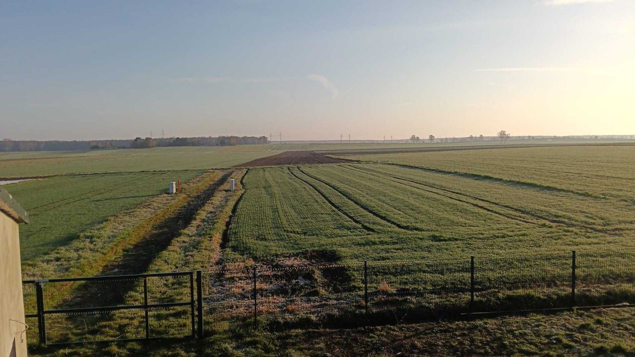 Działka budowlana Radonia. Zdjęcie 1