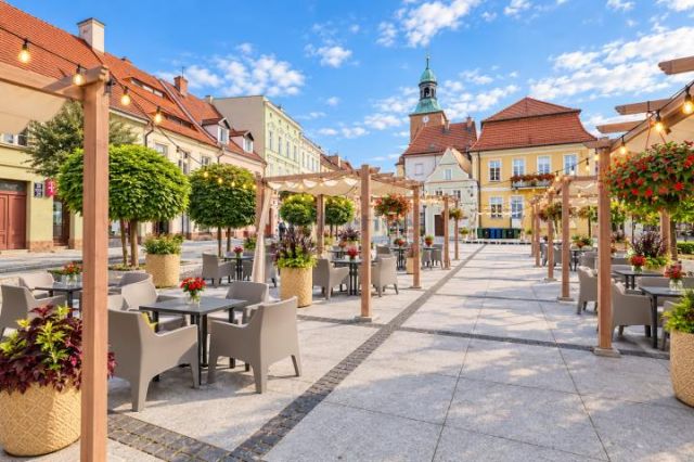 dom szeregowy, 4 pokoje Środa Śląska, ul. Kolejowa. Zdjęcie 15