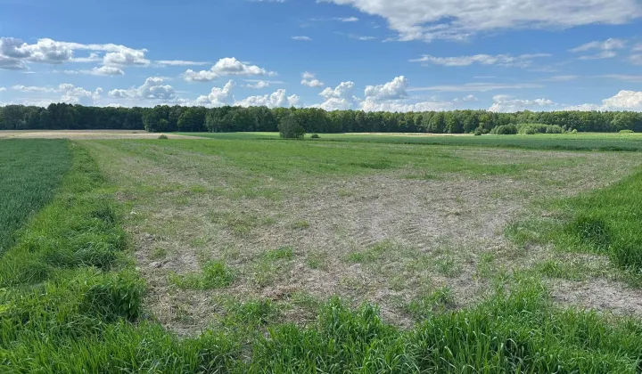 Działka rolna Żernica, ul. Brzozowa