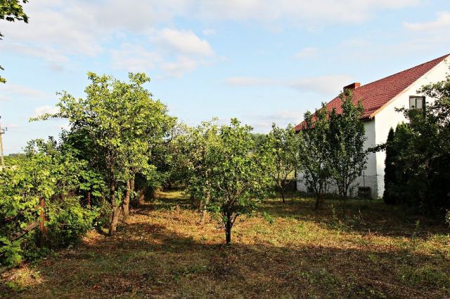 Działka rolna Romany. Zdjęcie 1