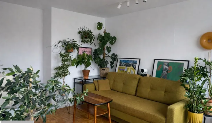 Mieszkanie 2-pokojowe Wrocław Psie Pole, ul. Teodora Parnickiego