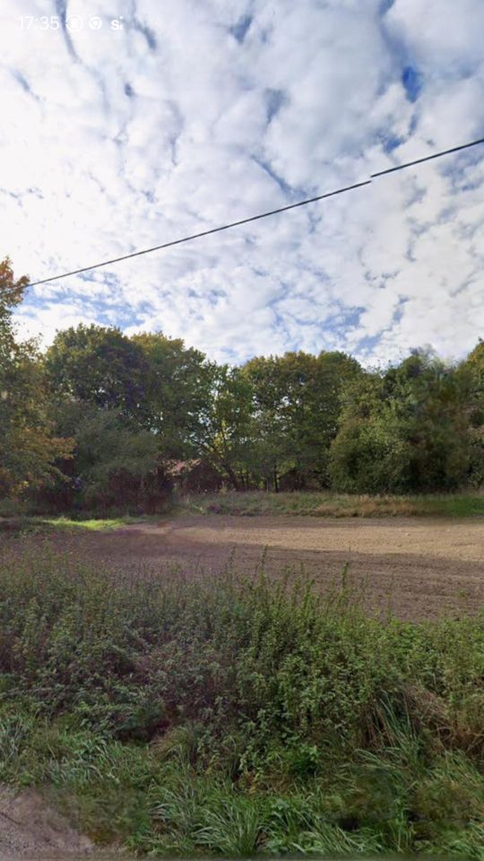 siedlisko Boguszewo, Boguszewo. Zdjęcie 7