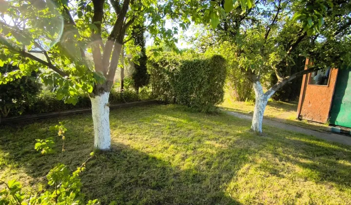 Działka rod Wałbrzych Podzamcze