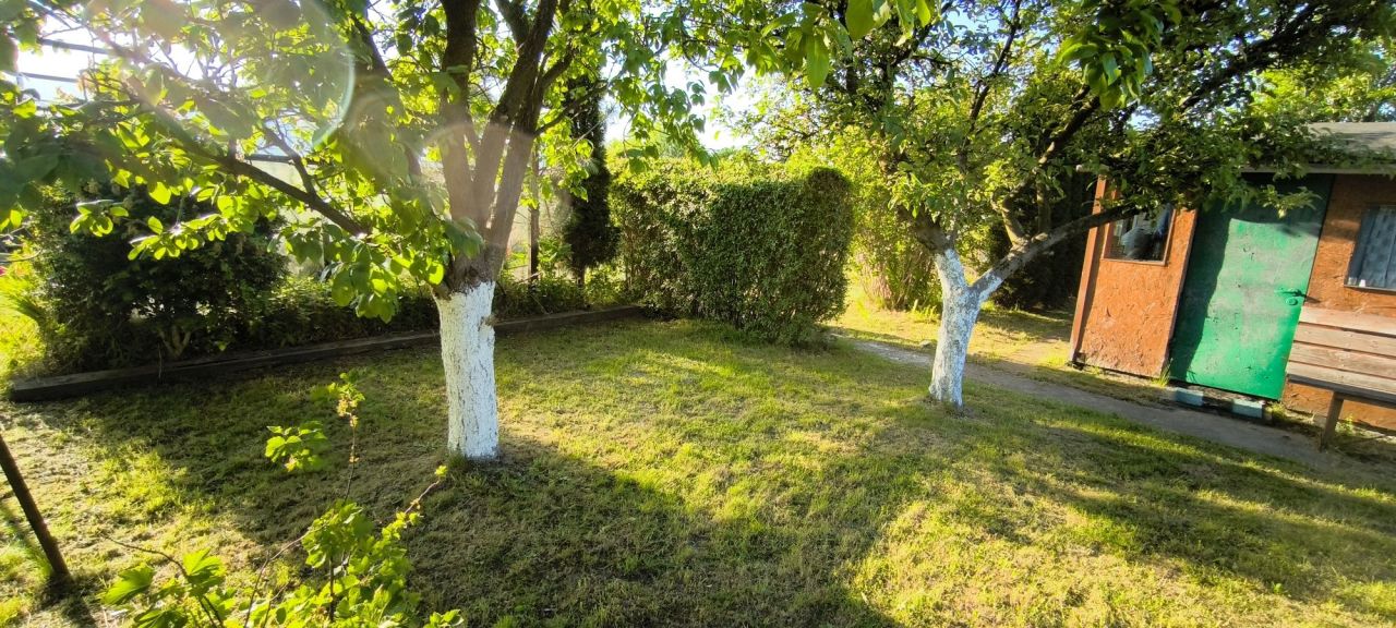 Działka rod Wałbrzych Podzamcze