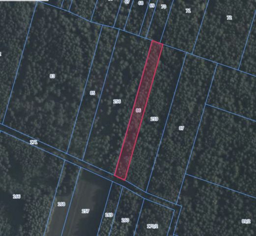 Działka rolna Wólka Kałuska. Zdjęcie 1