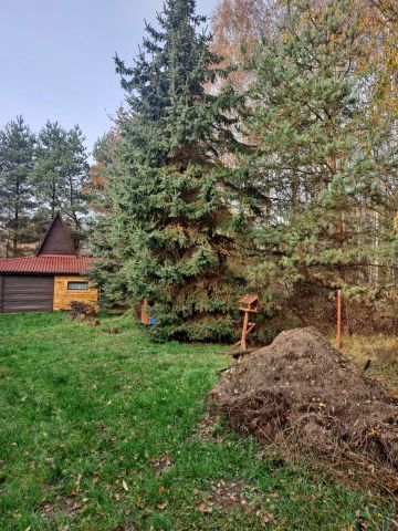 Działka rolno-budowlana Alfonsów. Zdjęcie 1