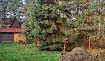 Działka rolno-budowlana Alfonsów