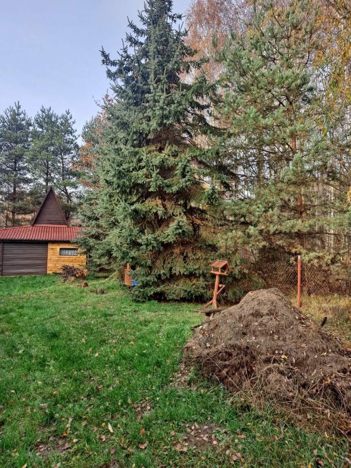 Działka rolno-budowlana Alfonsów