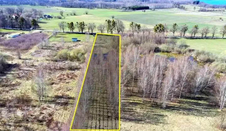 Działka budowlana Harsz