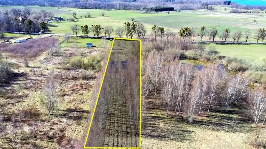 Działka budowlana Harsz. Zdjęcie 1