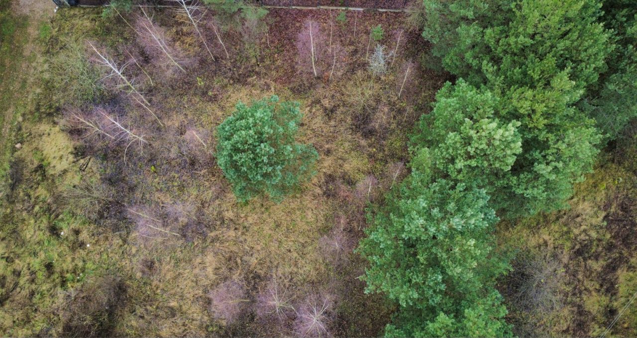 Działka budowlana Piaski. Zdjęcie 4