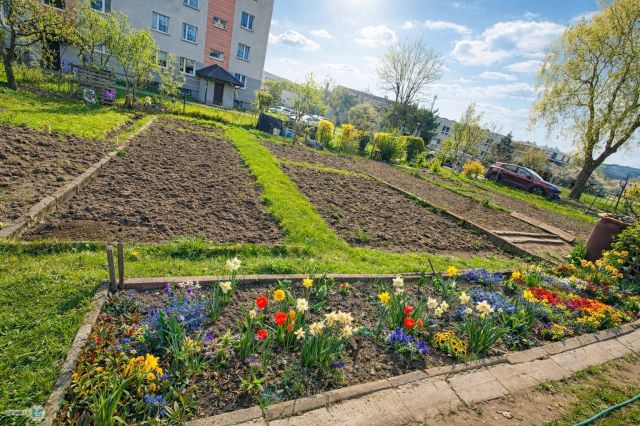 Mieszkanie 3-pokojowe Kielce Podkarczówka. Zdjęcie 19