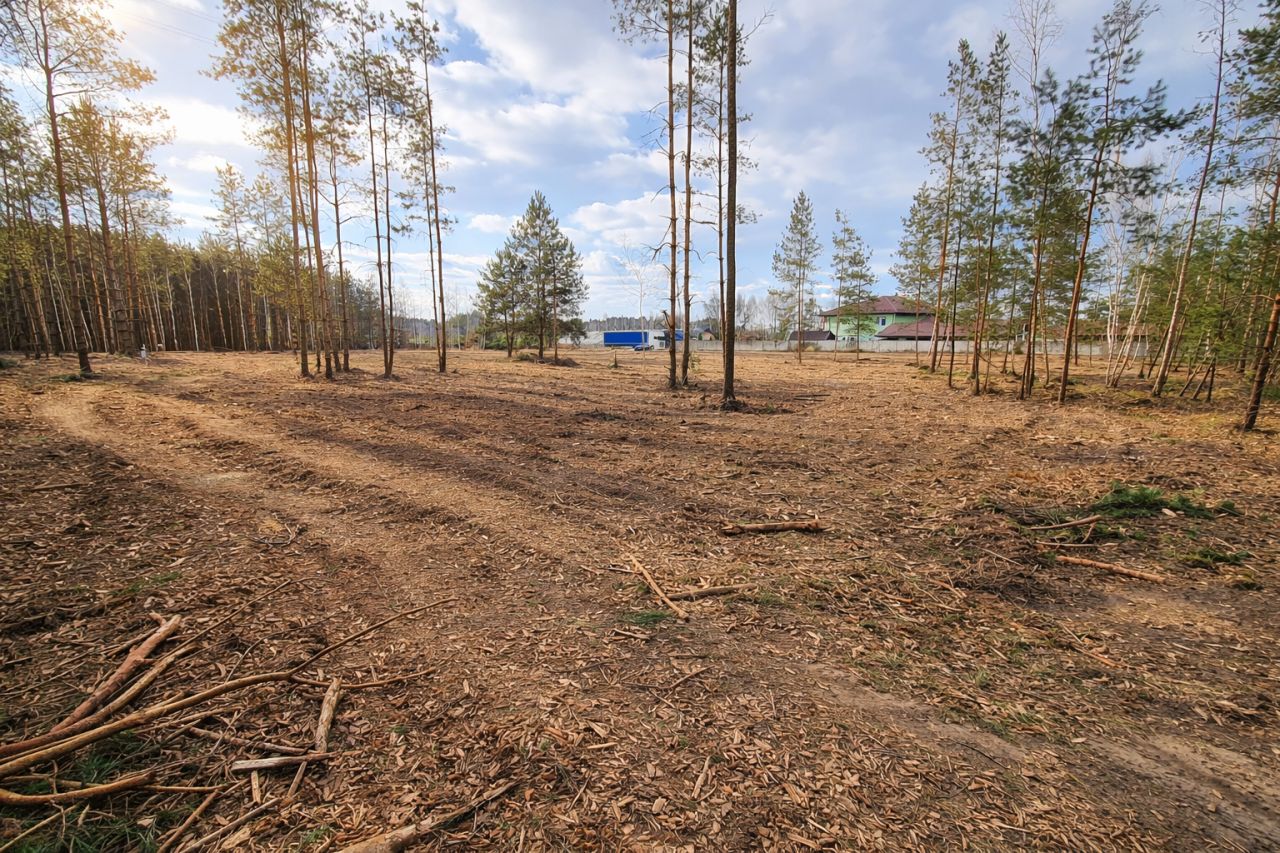 Działka rolno-budowlana Budy, Brodowa Góra. Zdjęcie 5