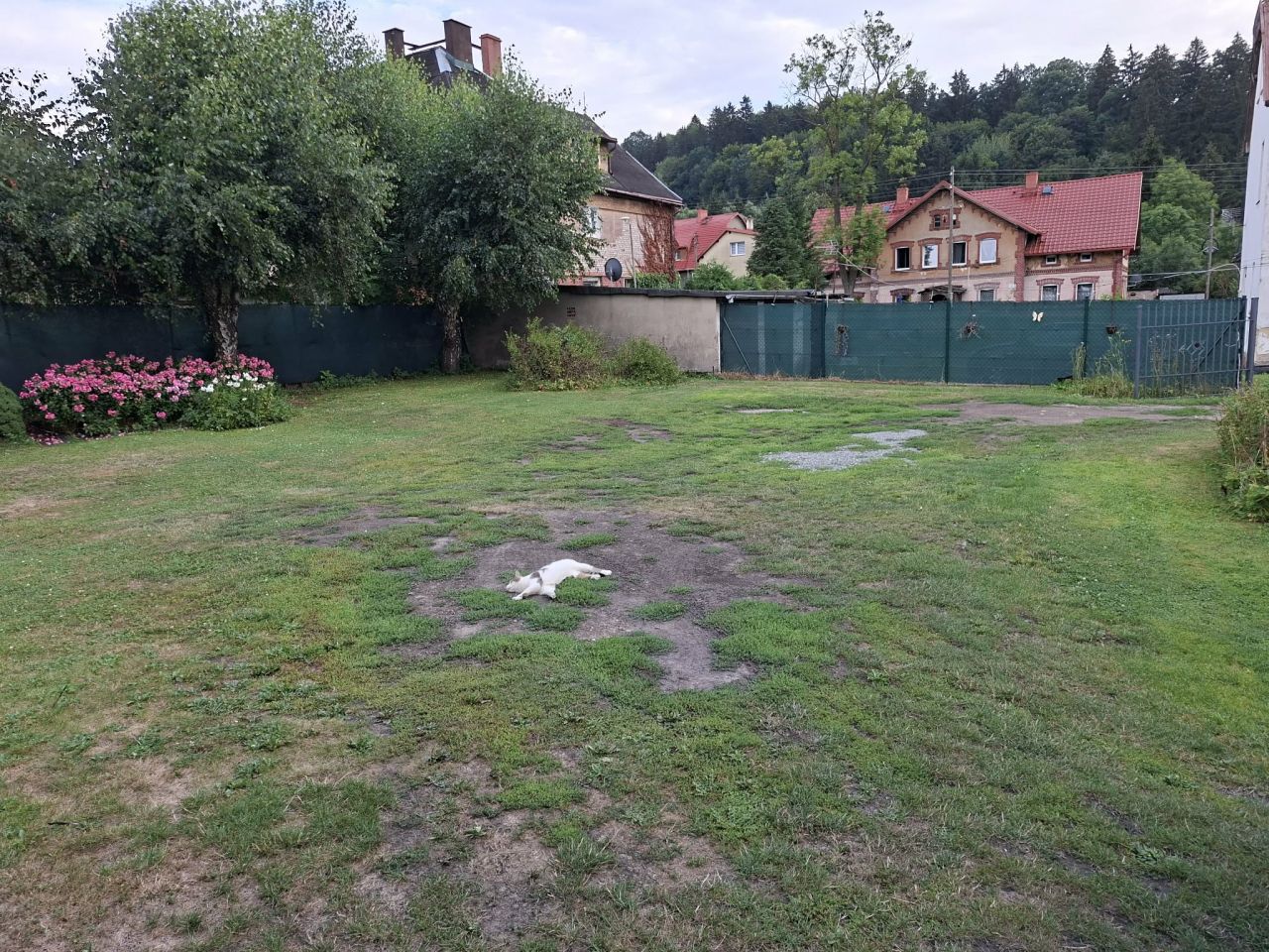 dom wolnostojący, 3 pokoje Jugów Jastrzębiec, ul. Grzybowska. Zdjęcie 9