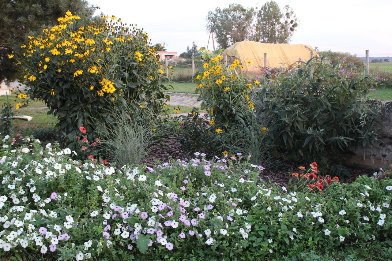 Hala/magazyn Witnica, ul. Chojeńska. Zdjęcie 17