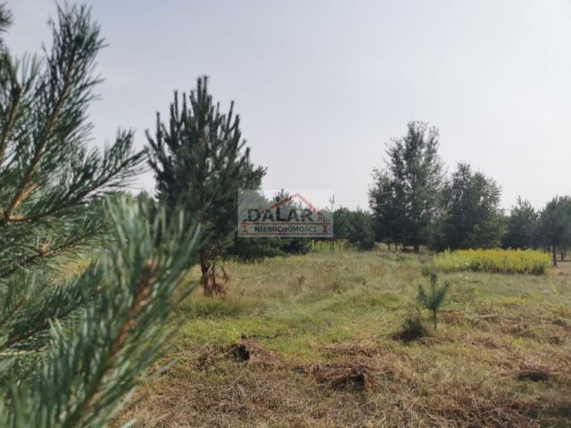 Działka budowlana Ławki. Zdjęcie 1