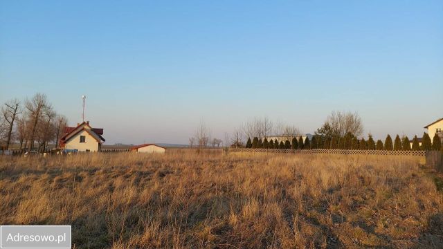 Działka budowlana Murczyn. Zdjęcie 1