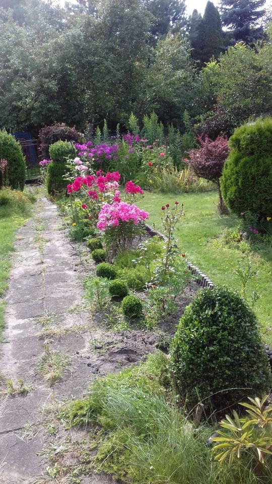 Działka rekreacyjna Ząbki