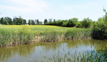 Działka budowlana Pogorzelec
