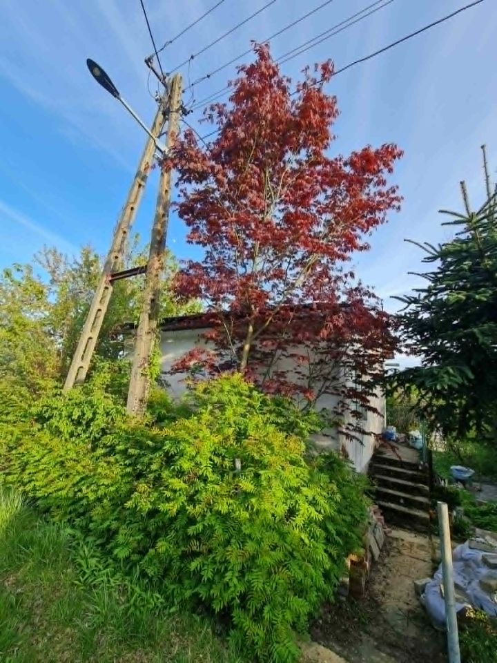 Działka rod Skoczów, Stalmacha. Zdjęcie 7