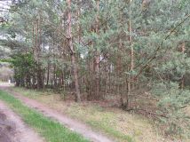 Działka budowlana Ostrowy nad Okszą Zadworze, ul. Piotra Wróbla. Zdjęcie 1