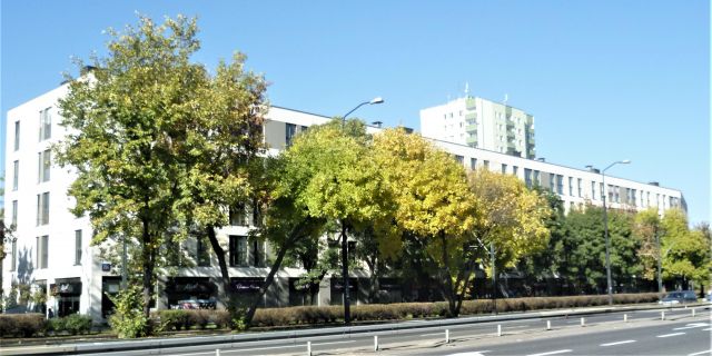 Pokój Warszawa Mokotów, ul. Puławska. Zdjęcie 1