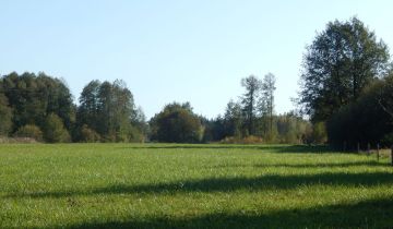 Działka siedliskowa Grzegorzewice