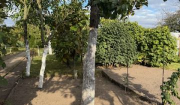 Działka rod Śrem, ul. Jeziorna