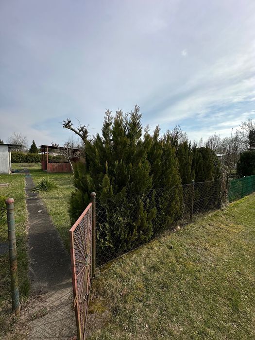 Działka rod Lubin. Zdjęcie 8