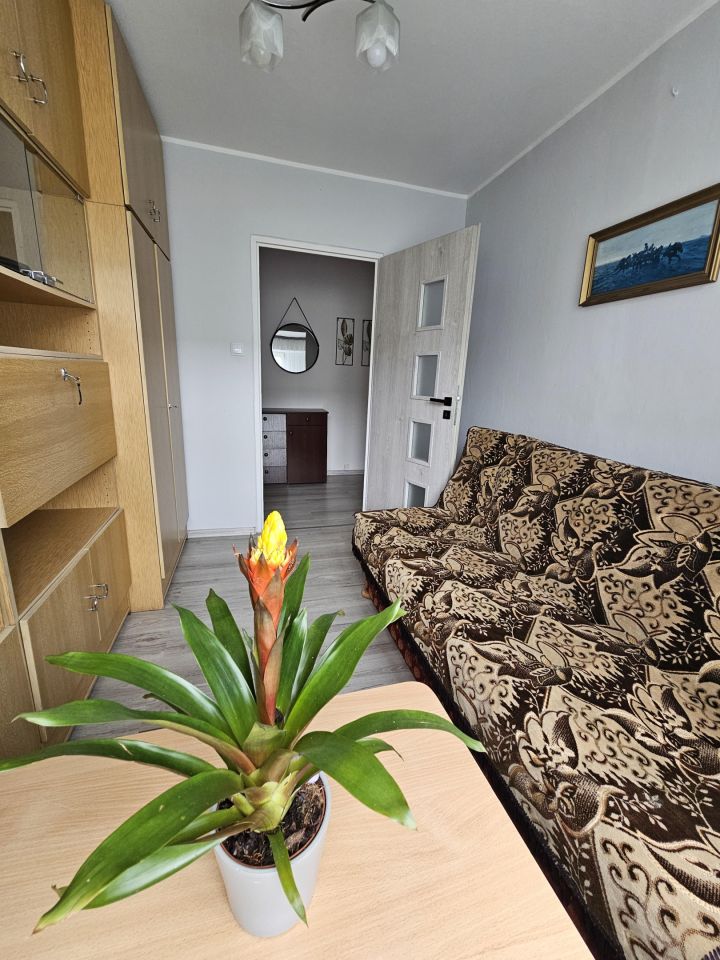 Mieszkanie 2-pokojowe Głowno, os. Kopernika. Zdjęcie 9