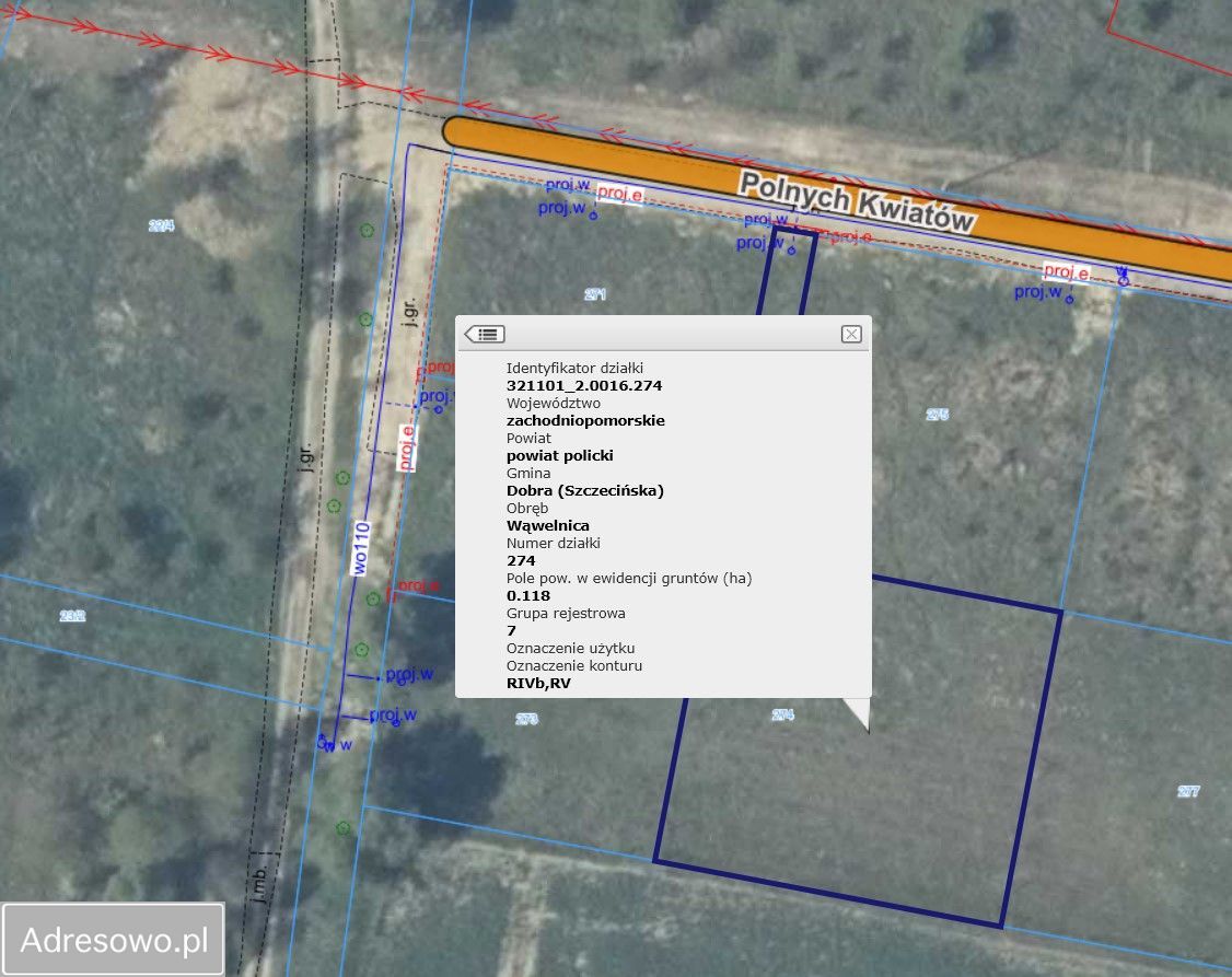 Działka rolna Wąwelnica, ul. Polnych Kwiatów. Zdjęcie 2