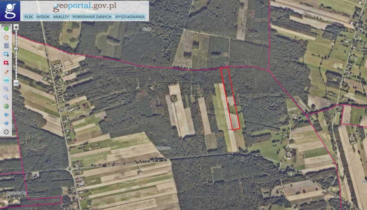 Działka rolna Dąbrowa. Zdjęcie 2