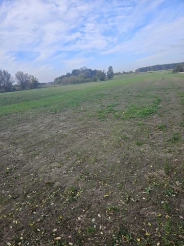 Działka budowlana Karsk. Zdjęcie 1