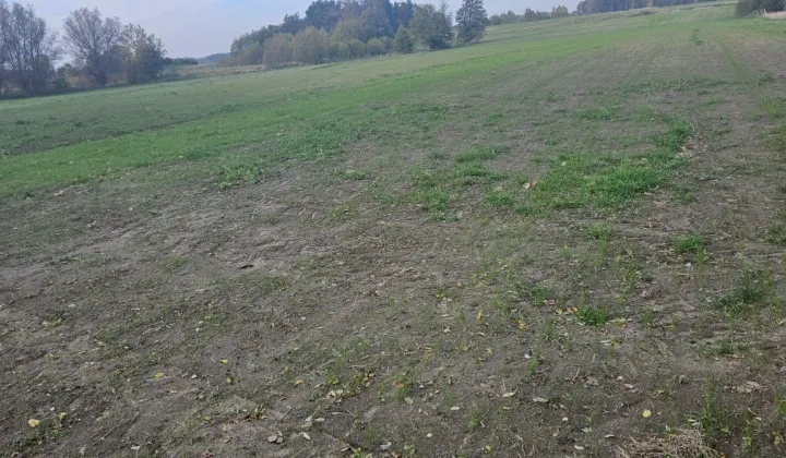 Działka budowlana Karsk