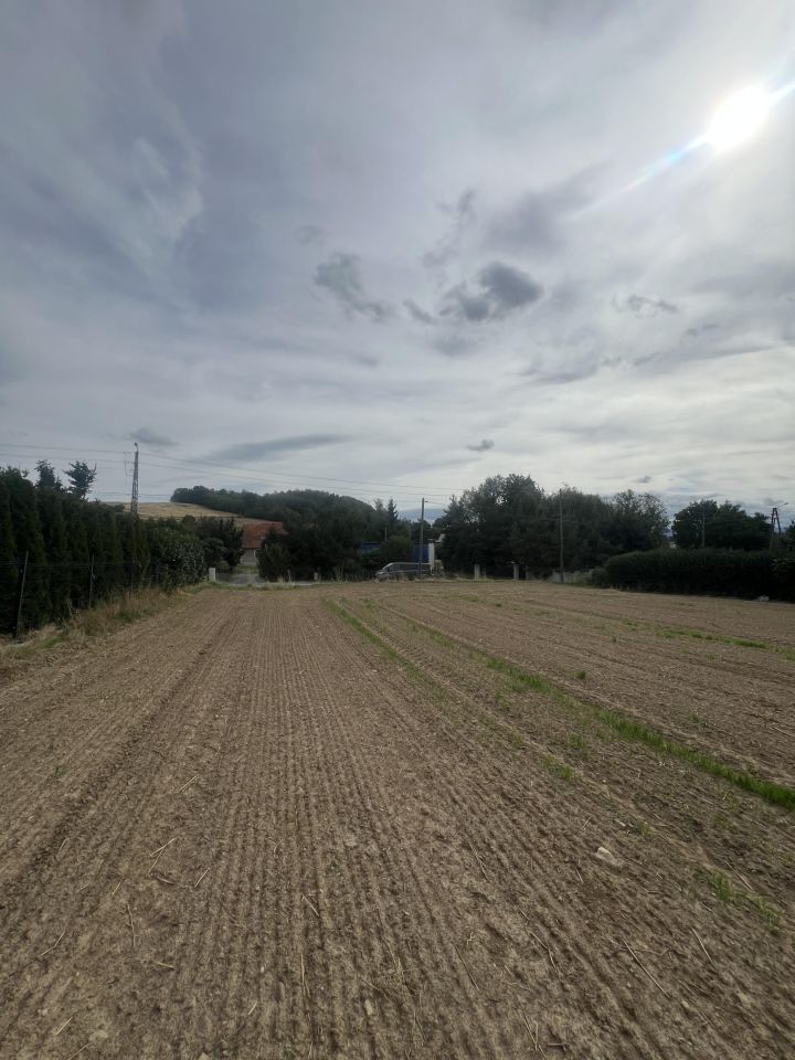 Działka budowlana Dobrocin, ul. Kościuszki. Zdjęcie 6