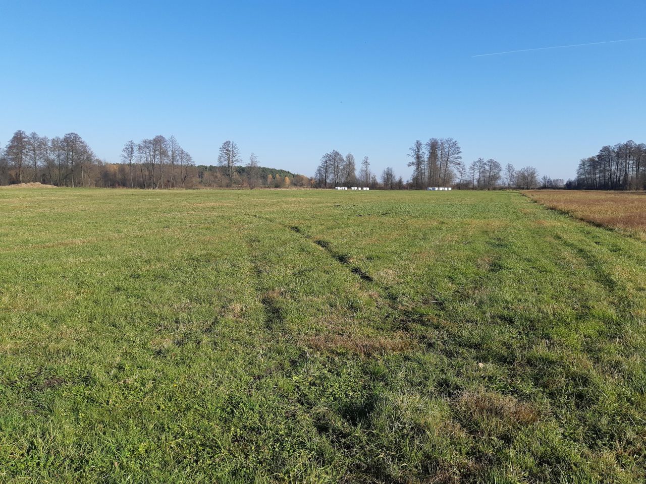 Działka rolno-budowlana Prostyń. Zdjęcie 8