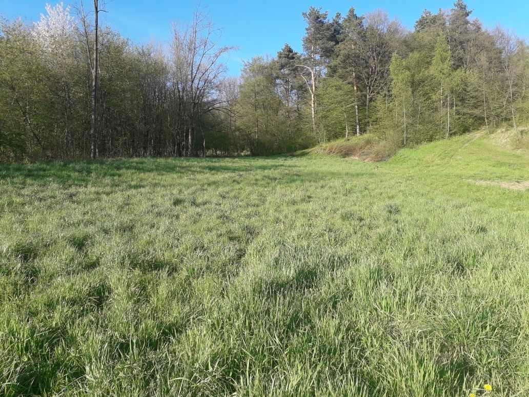 Działka budowlana Kuńkowce. Zdjęcie 4