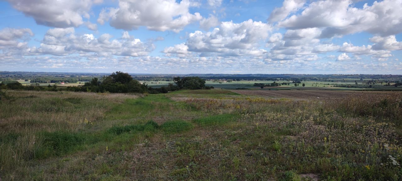 Działka budowlana Gzin, ul. Oktowo. Zdjęcie 5