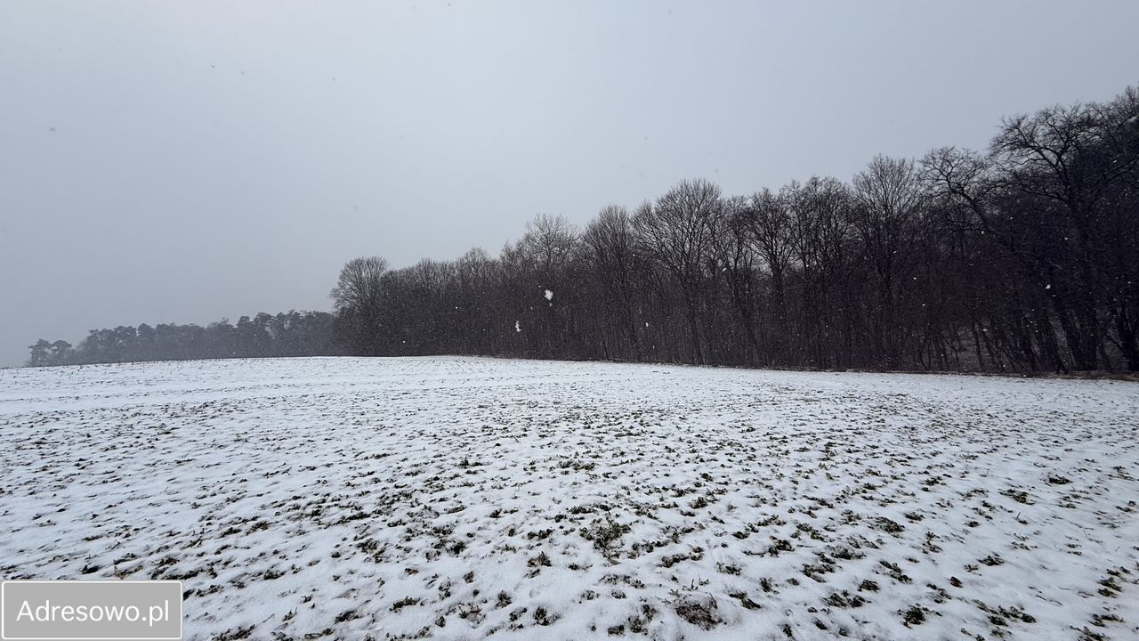 Działka budowlana Ostromecko. Zdjęcie 9