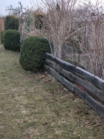 Działka rod Słupsk. Zdjęcie 1