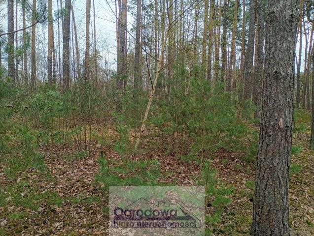 Działka budowlana Wilcza Góra. Zdjęcie 1