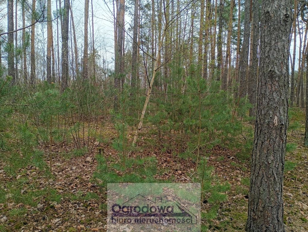 Działka budowlana Wilcza Góra. Zdjęcie 1