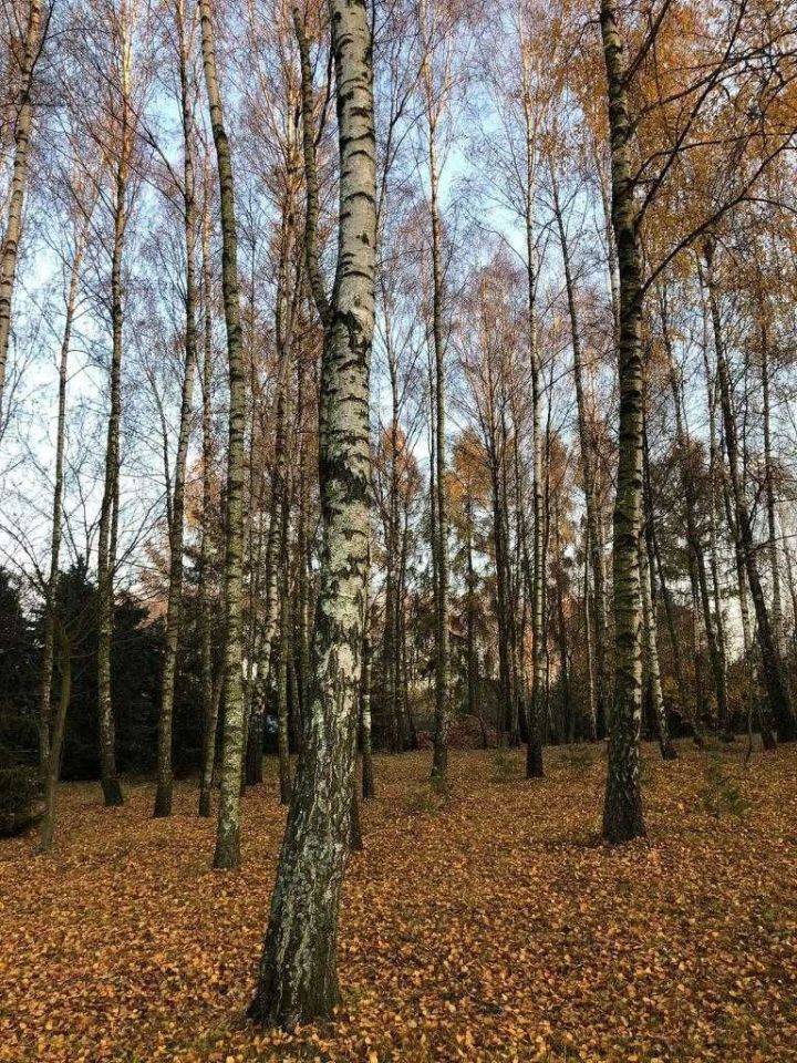 Działka budowlana Kalonka. Zdjęcie 2